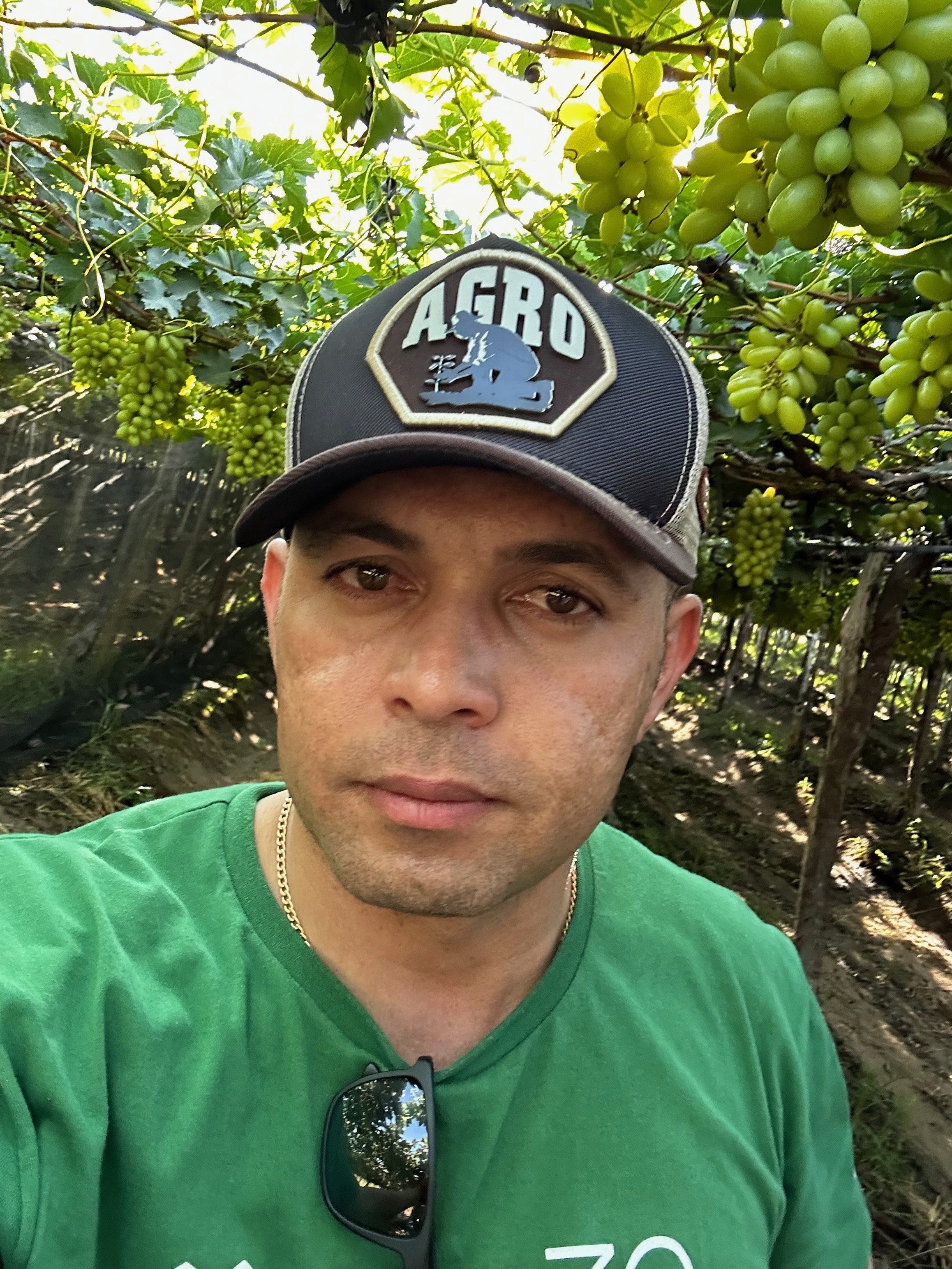 Junior Ramos em parreiral de uvas verdes
